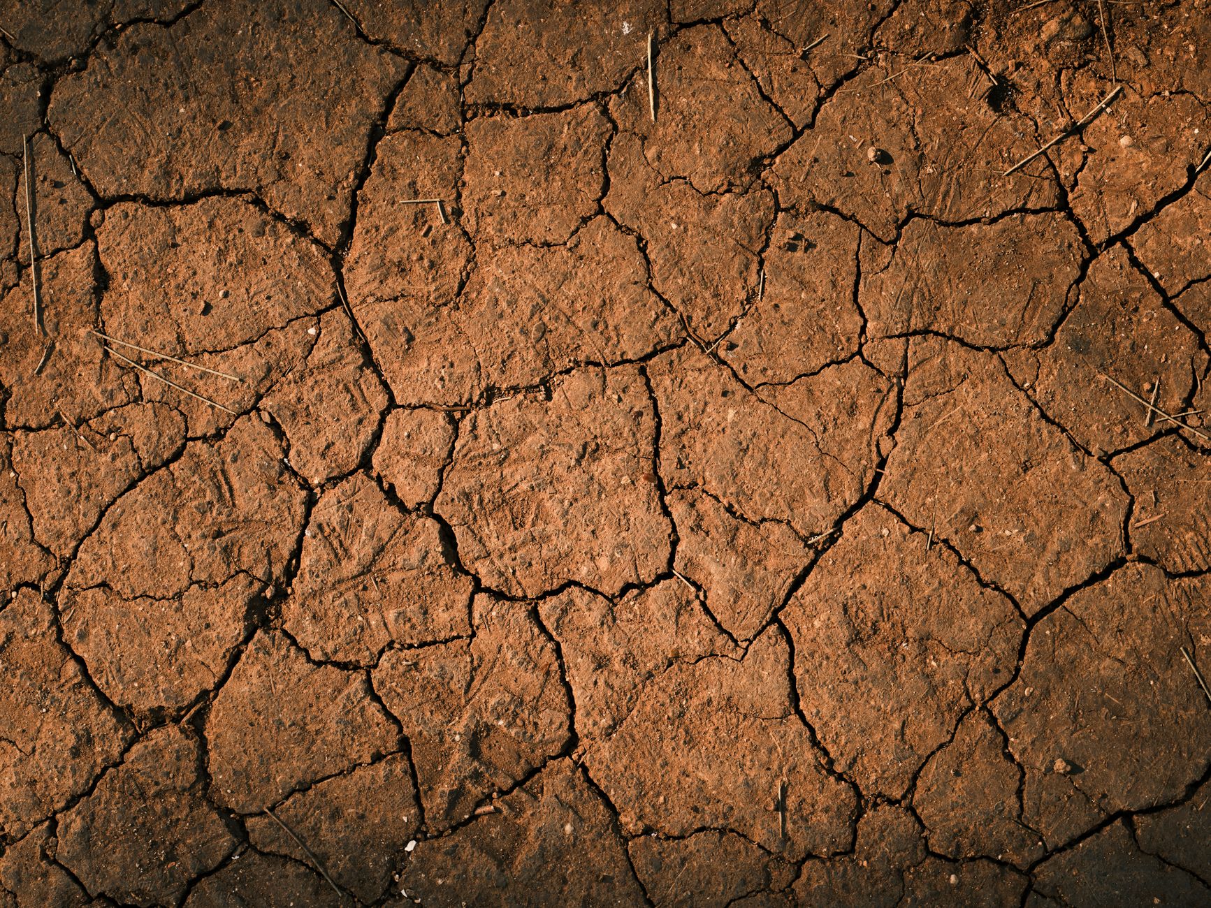 Crimson Desert DLC: The Best Proven Features to Explore